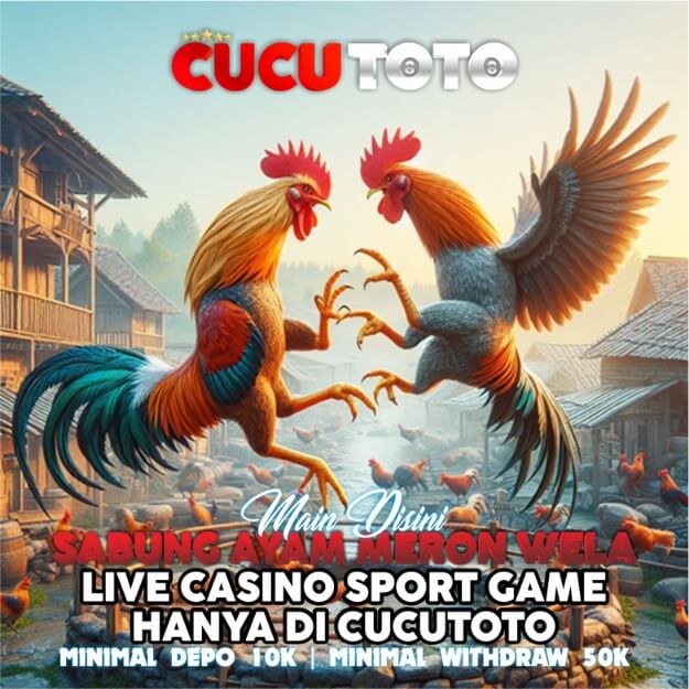 Cucutoto ~ Link Login Sabung Ayam Maron Wela image 1